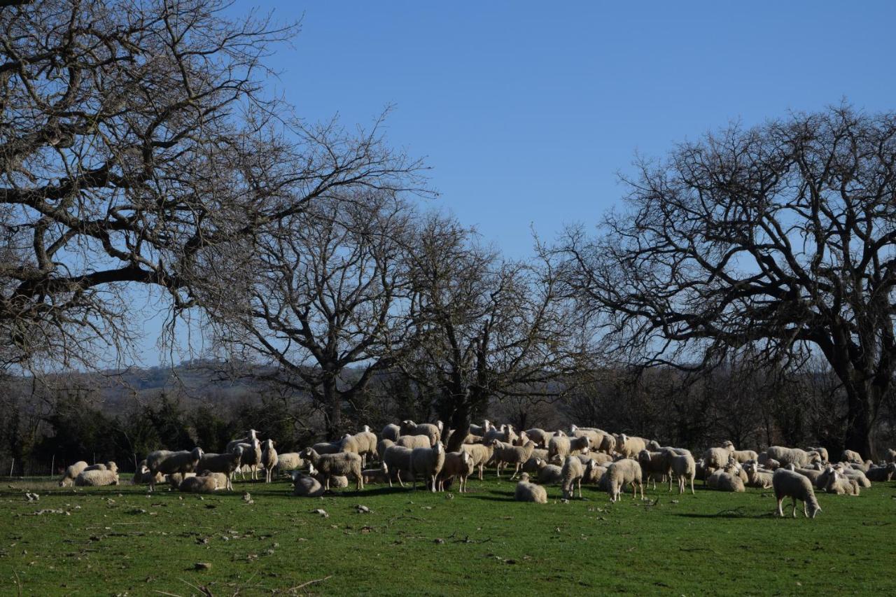 Agriturismo Bio Aia Della Colonna Saturnia Εξωτερικό φωτογραφία